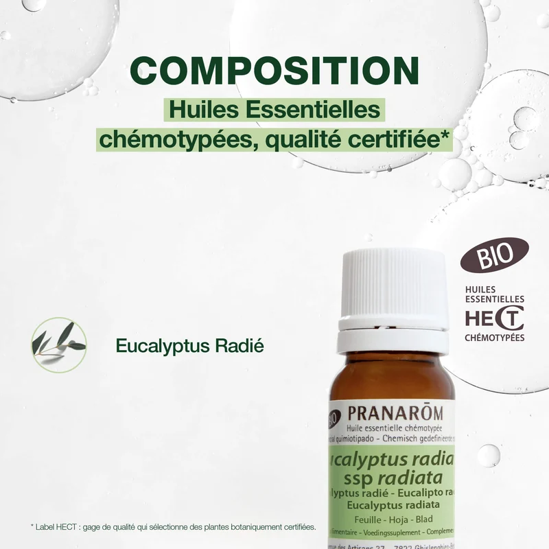 Huile Essentielle d'Eucalyptus radié - Bio