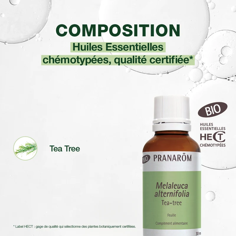 Huile Essentielle de Tea-tree grand format - Bio