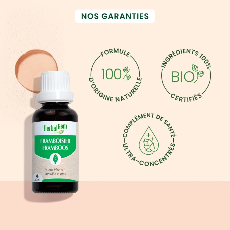 Bourgeon de framboisier - Bio