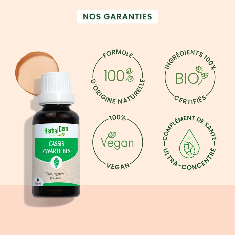 Bourgeon de cassis - Bio