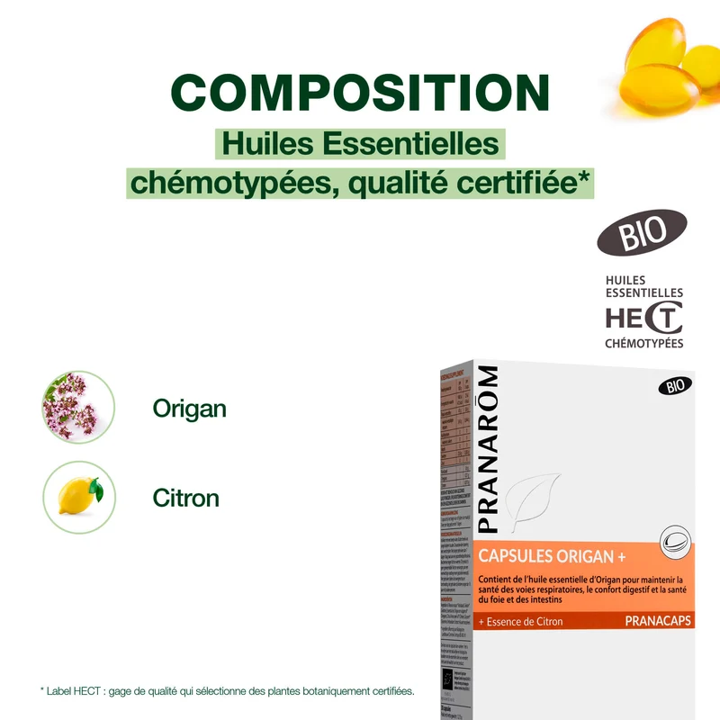 Capsules Origan + - Bio