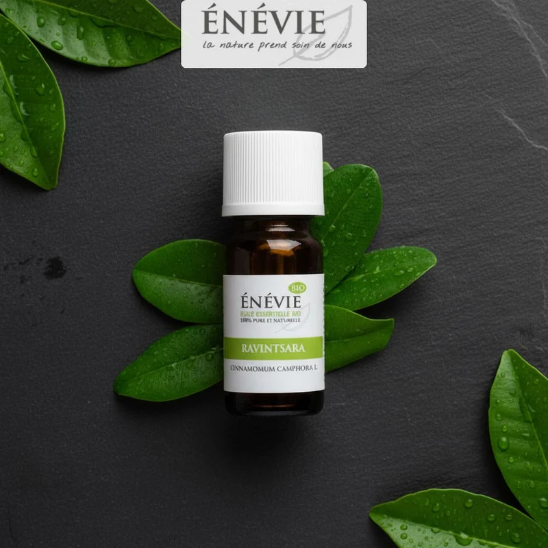 Huile essentielle de Ravintsara BIO 10ml