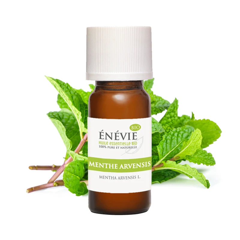 Huile essentielle de Menthe arvensis BIO 10ml