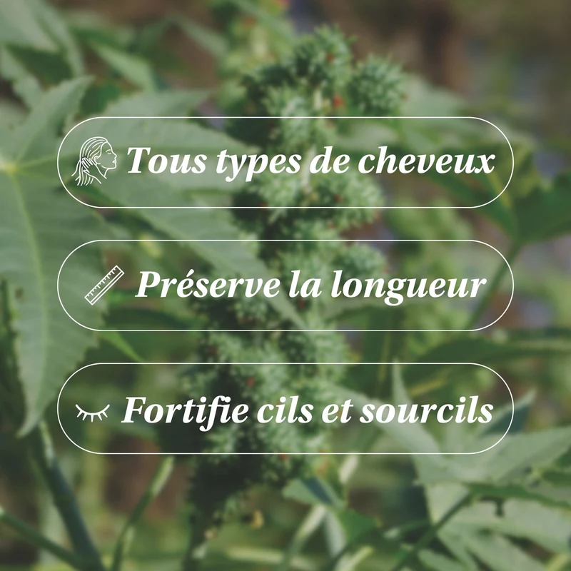 Huile de Ricin BIO - Les Imparfaits