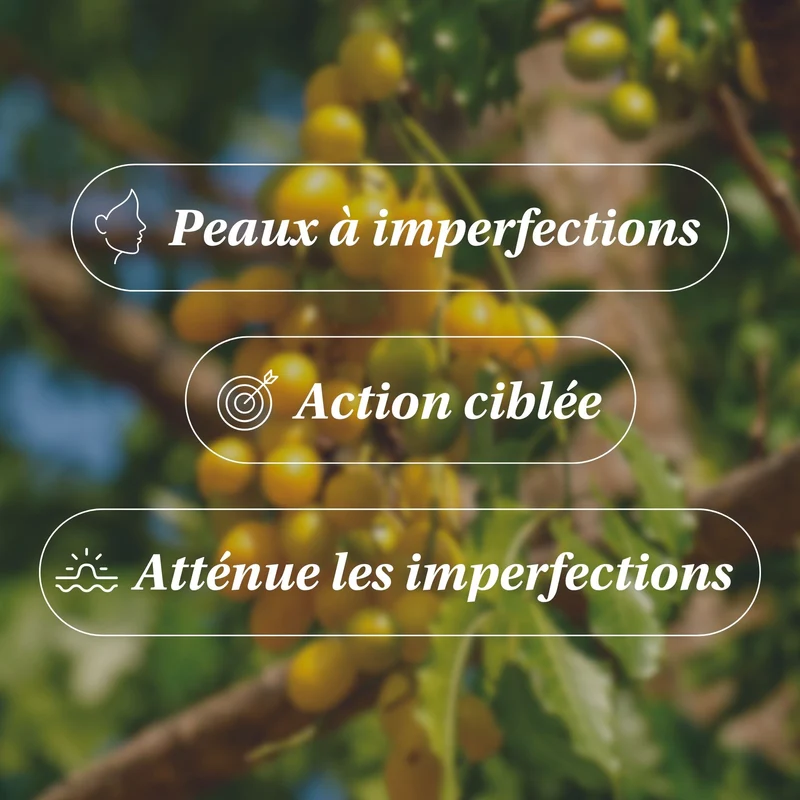 Huile de Neem - Anti-Imperfections