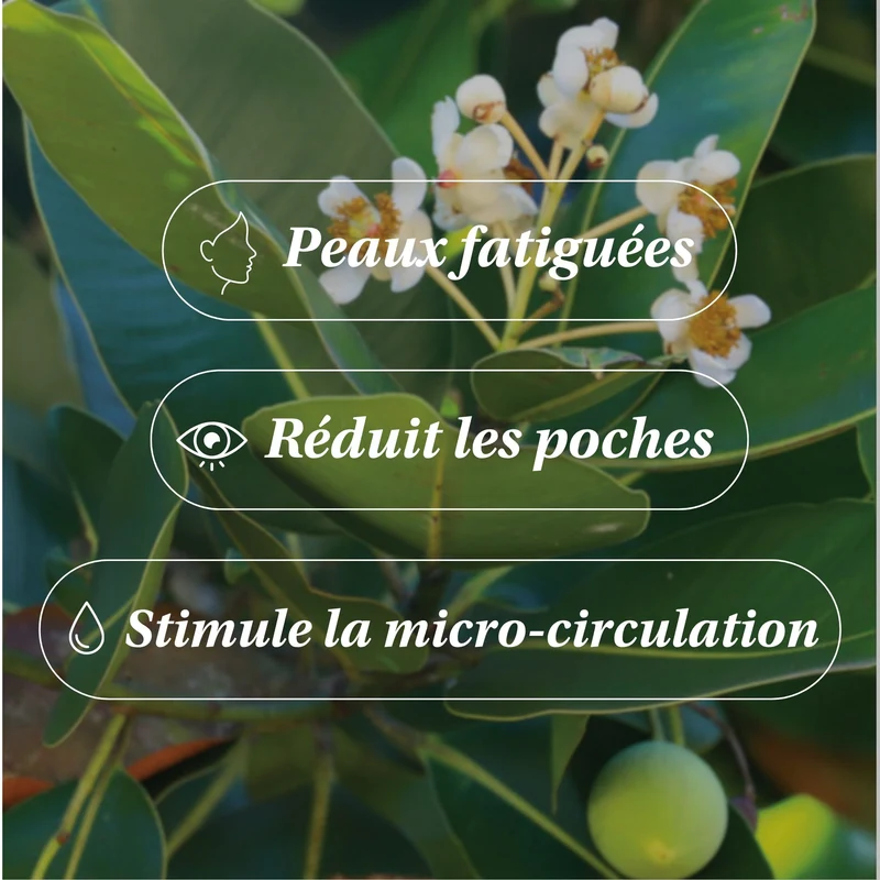 Huile de Calophylle BIO - Les Imparfaits