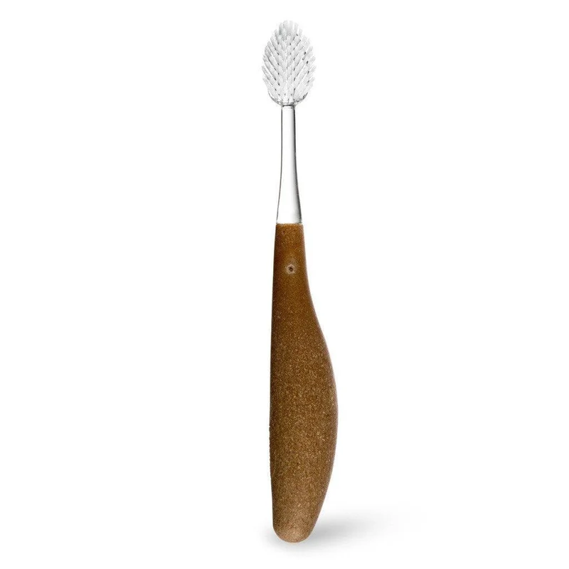 Brosse à Dents Moyenne Source