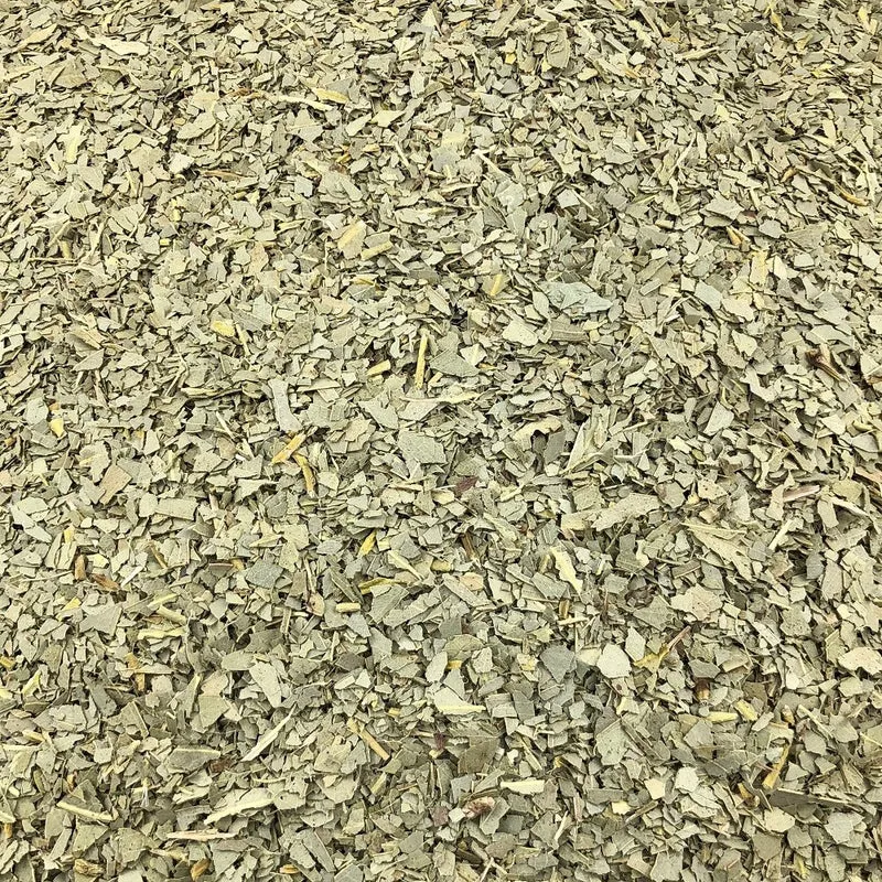 Eucalyptus Feuilles Bio en Vrac