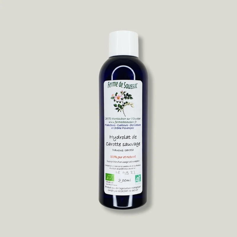 Hydrolat de Carotte sauvage bio