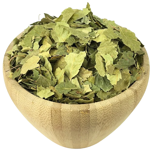 Bouleau Feuilles Bio en Vrac