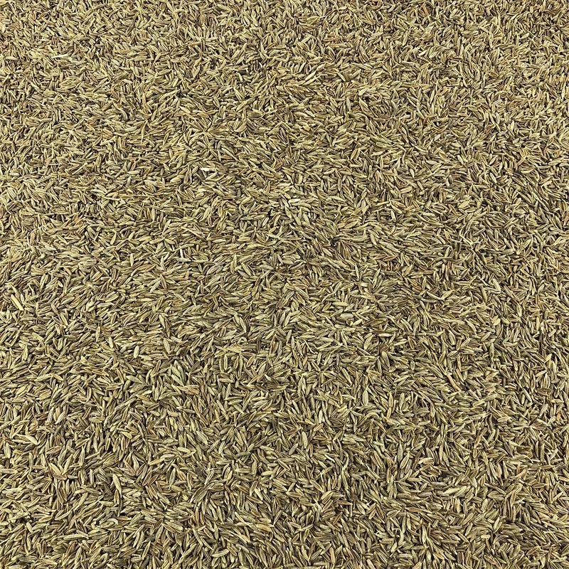 Cumin Graines Bio en Vrac