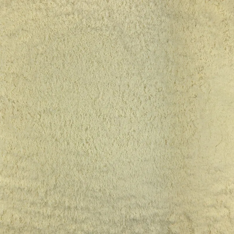 Oignon Poudre Bio en Vrac