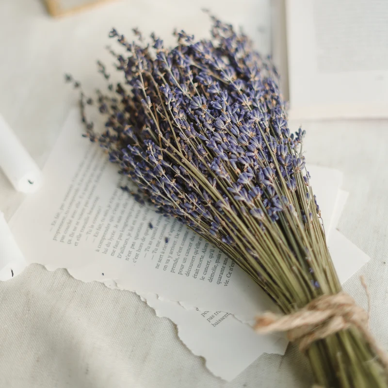 Bouquet de lavande séchée