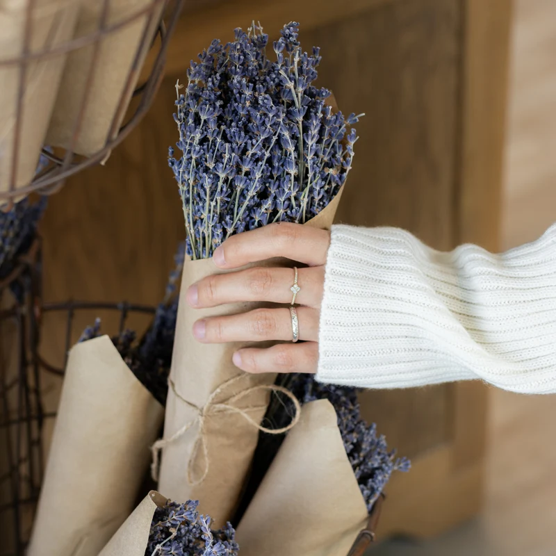 Bouquet de lavande séchée