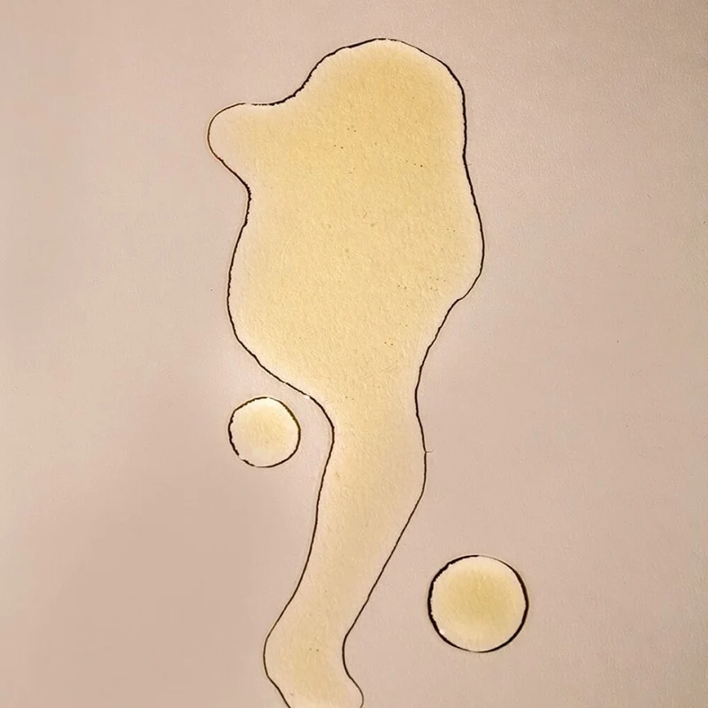 Huile sèche Corps