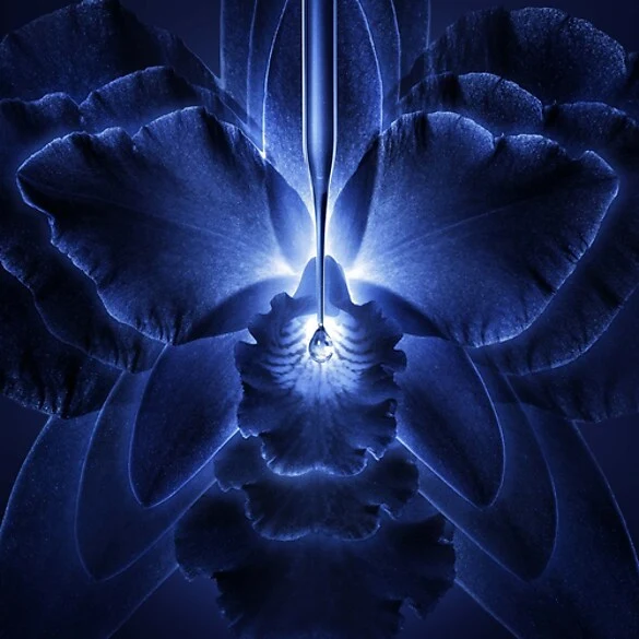 Guerlain Orchidée Impériale - Le Concentré Lotion Essence