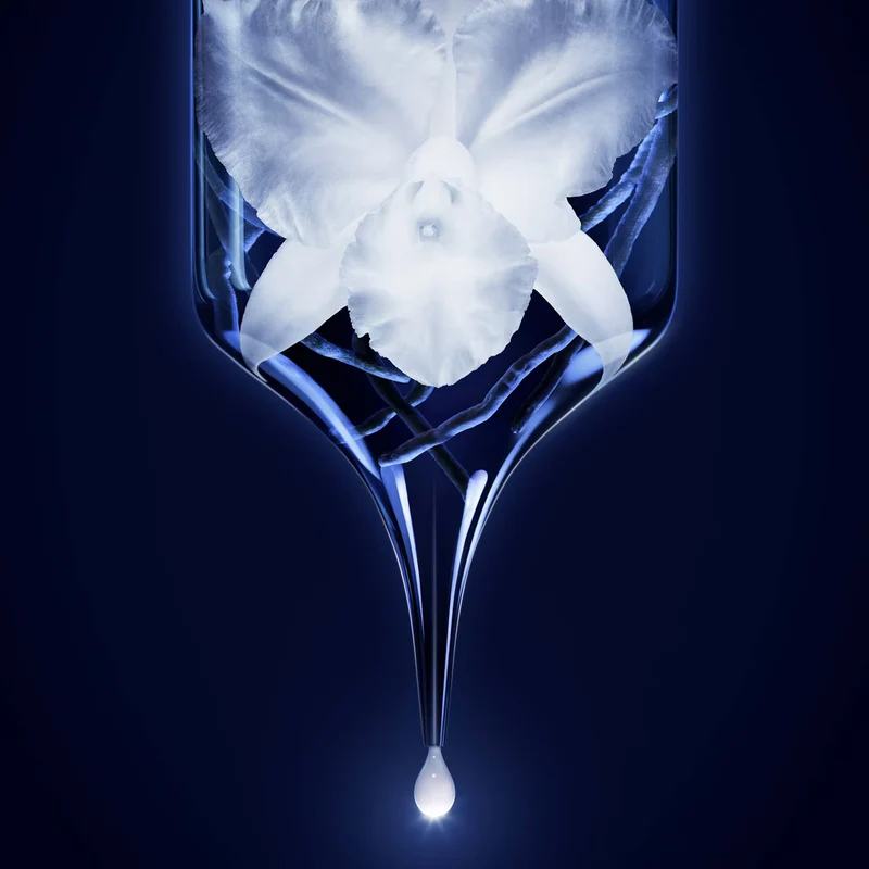 Guerlain Orchidée Impériale - La Gelée d'Huile