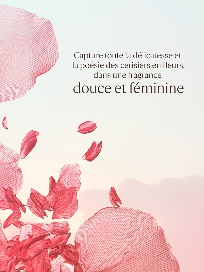 L'Occitane Lait parfumé Fleurs de Cerisier