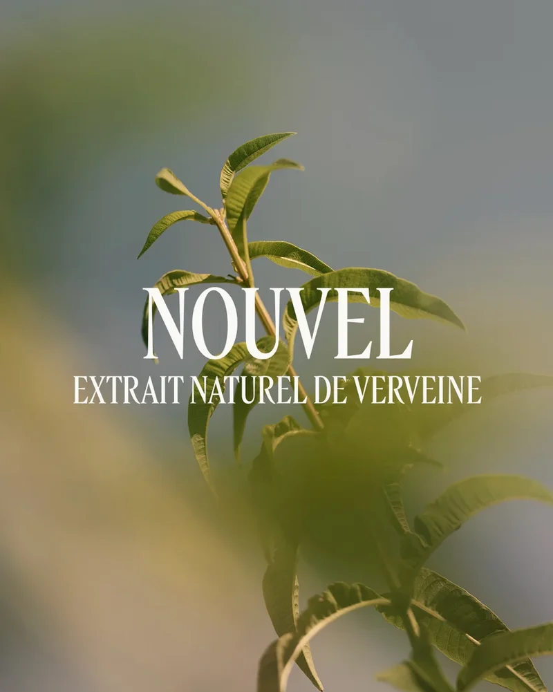 L'Occitane - Eau de Toilette Verveine