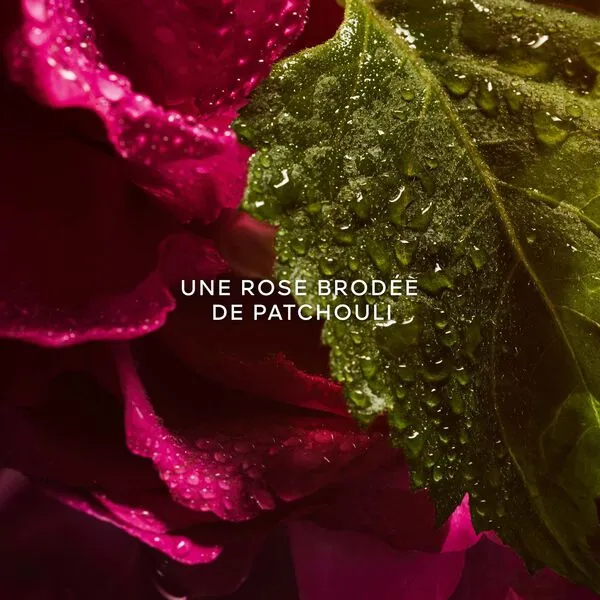 Guerlain La Petite Robe Noire - Eau de Parfum Absolue