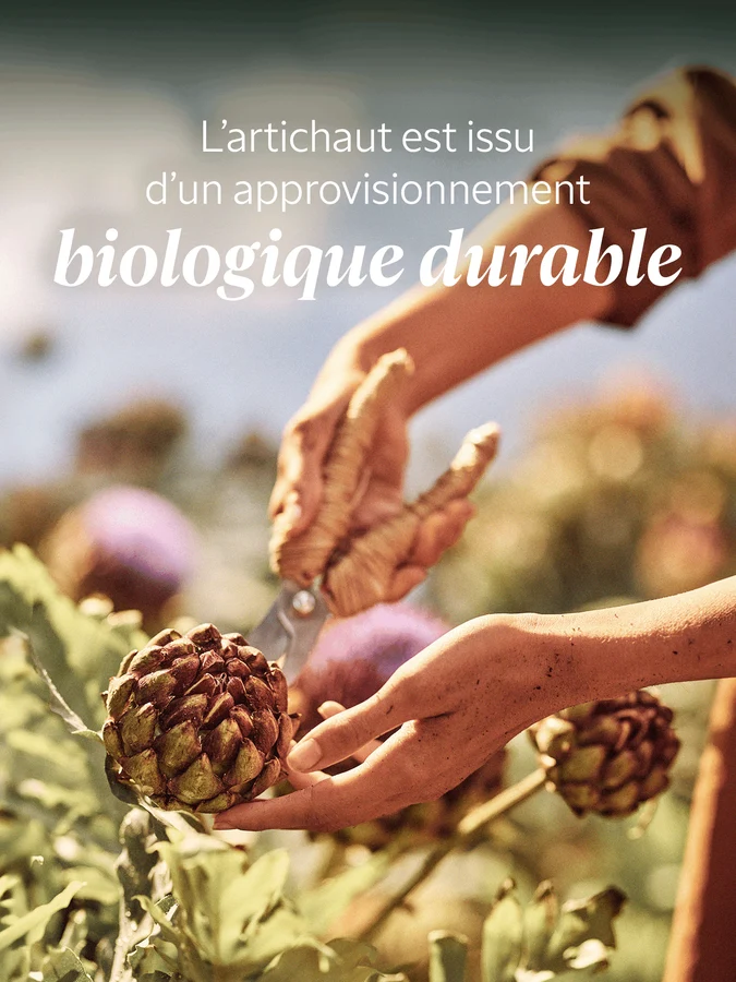 L'Occitane Gommage Corps Artichaut
