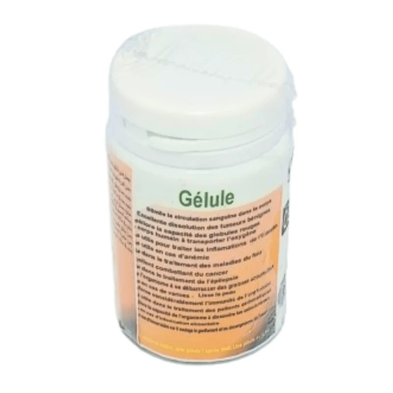 Reishi Champignons 60 Gélules