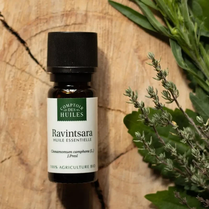 Huile Essentielle de Ravintsara BIO 10ml