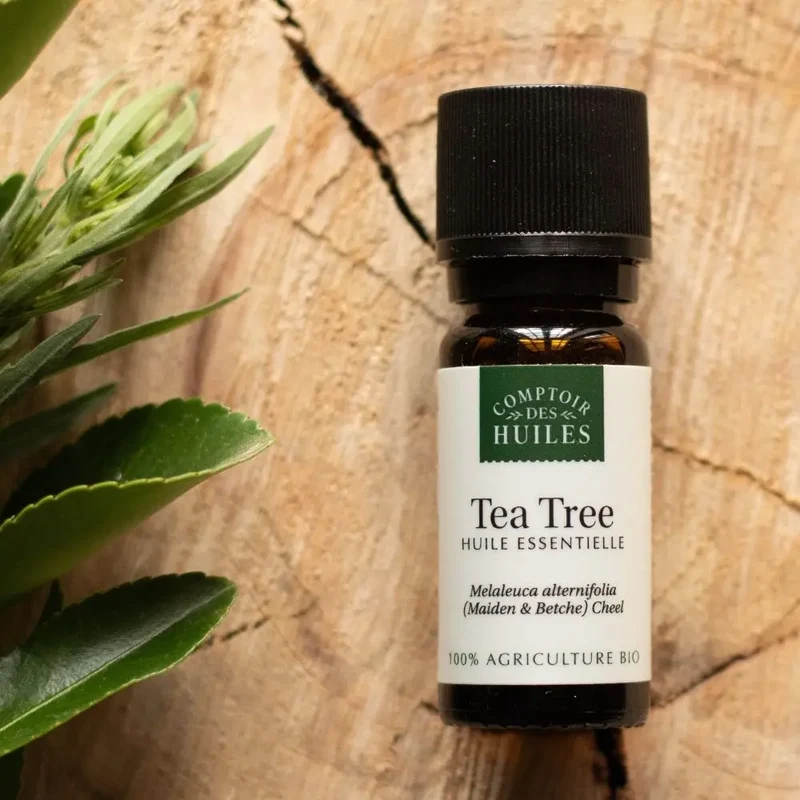 Huile Essentielle de Tea Tree BIO 10ml