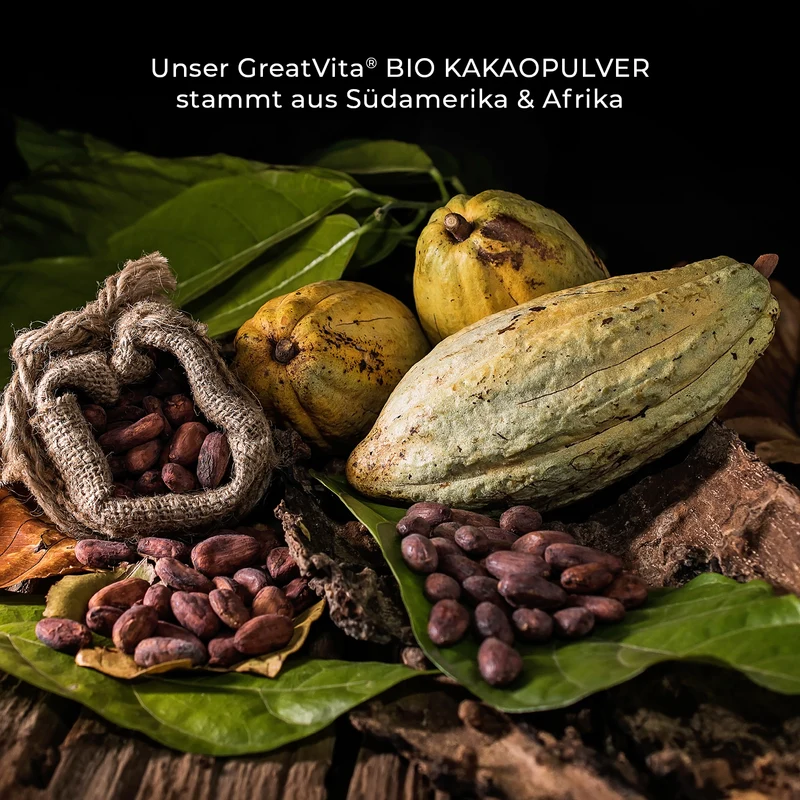 Bio-Kakaopulver – roh & zuckerfrei