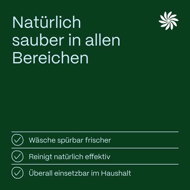Natron-Pulver – Natriumhydrogencarbonat