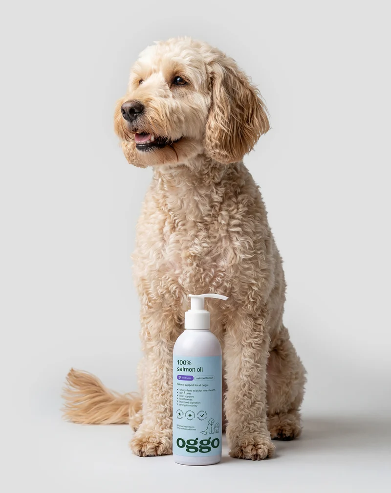 Huile de saumon pour chien Oméga-3 EPA et DHA pour le cœur, le cerveau et l'immunité Oggo 250 ml