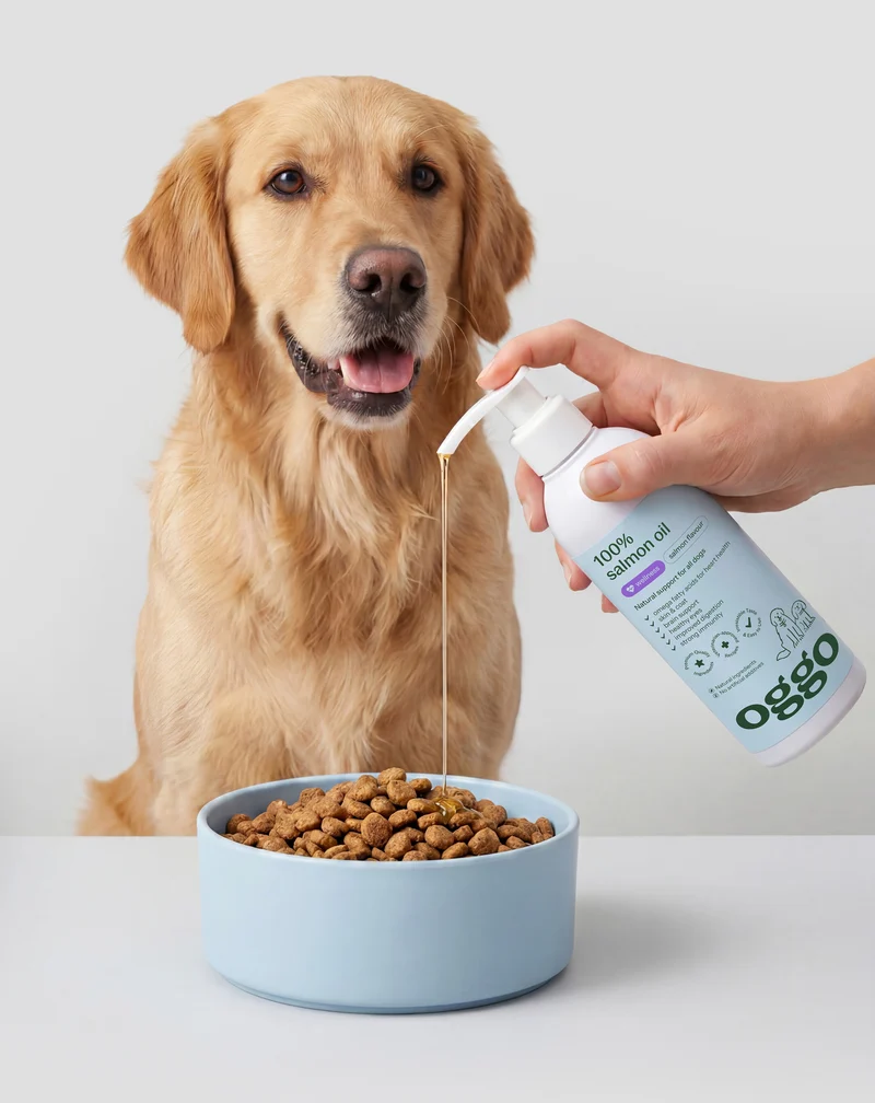 Huile de saumon pour chien Oméga-3 EPA et DHA pour le cœur, le cerveau et l'immunité Oggo 250 ml