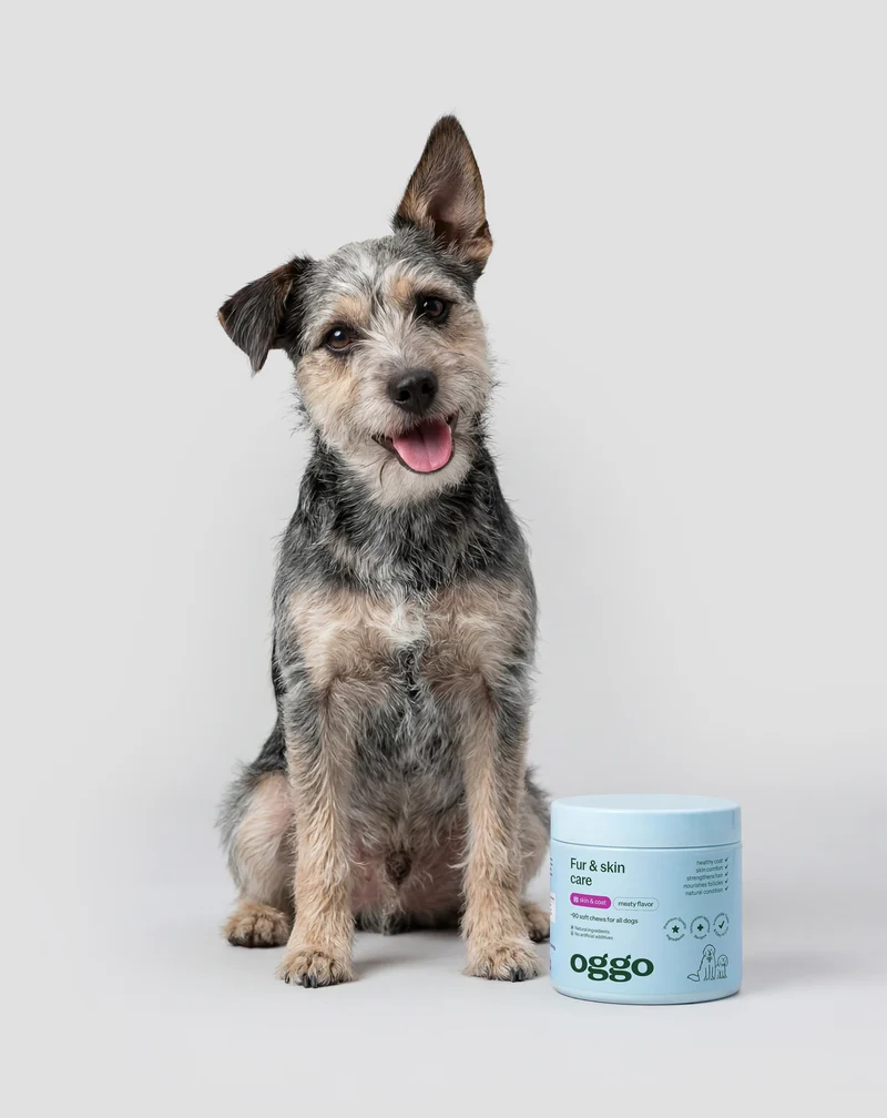 Complément pour le pelage et la peau du chien Fur & Skin Oggo 180 g