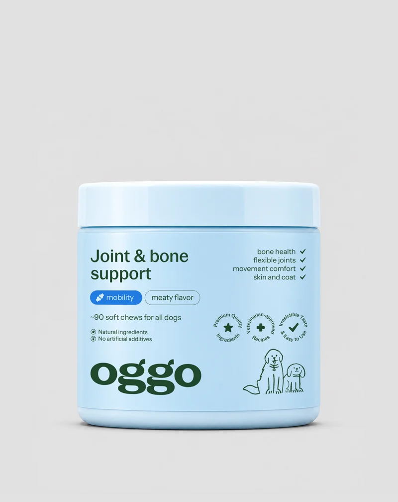 Complément pour les articulations et les os des chiens de grande race, actifs, âgés Joint & Bone Support Oggo 180 g