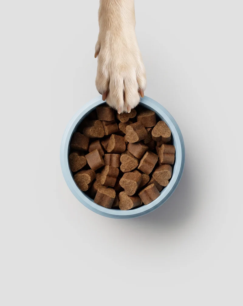 Complément pour les articulations et les os des chiens de grande race, actifs, âgés Joint & Bone Support Oggo 180 g