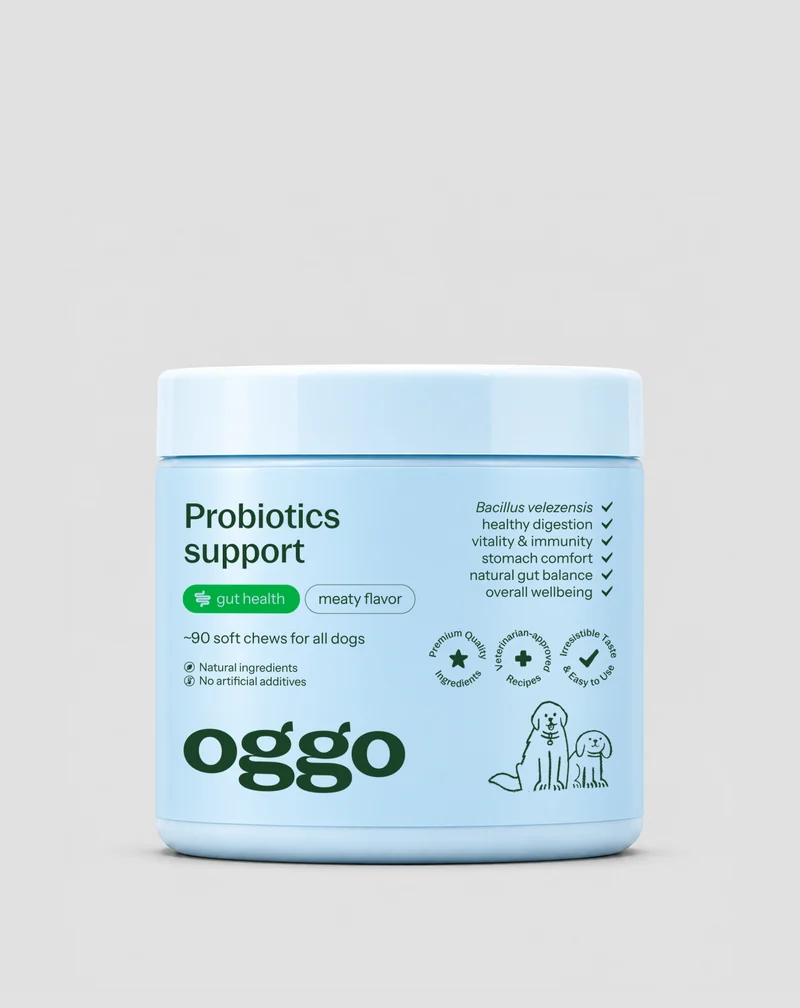 Probiotique pour chien Bacillus velezensis pour la digestion, les intestins et l'immunité Oggo 180 g