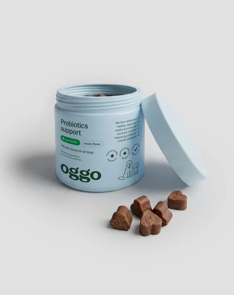 Probiotique pour chien Bacillus velezensis pour la digestion, les intestins et l'immunité Oggo 180 g