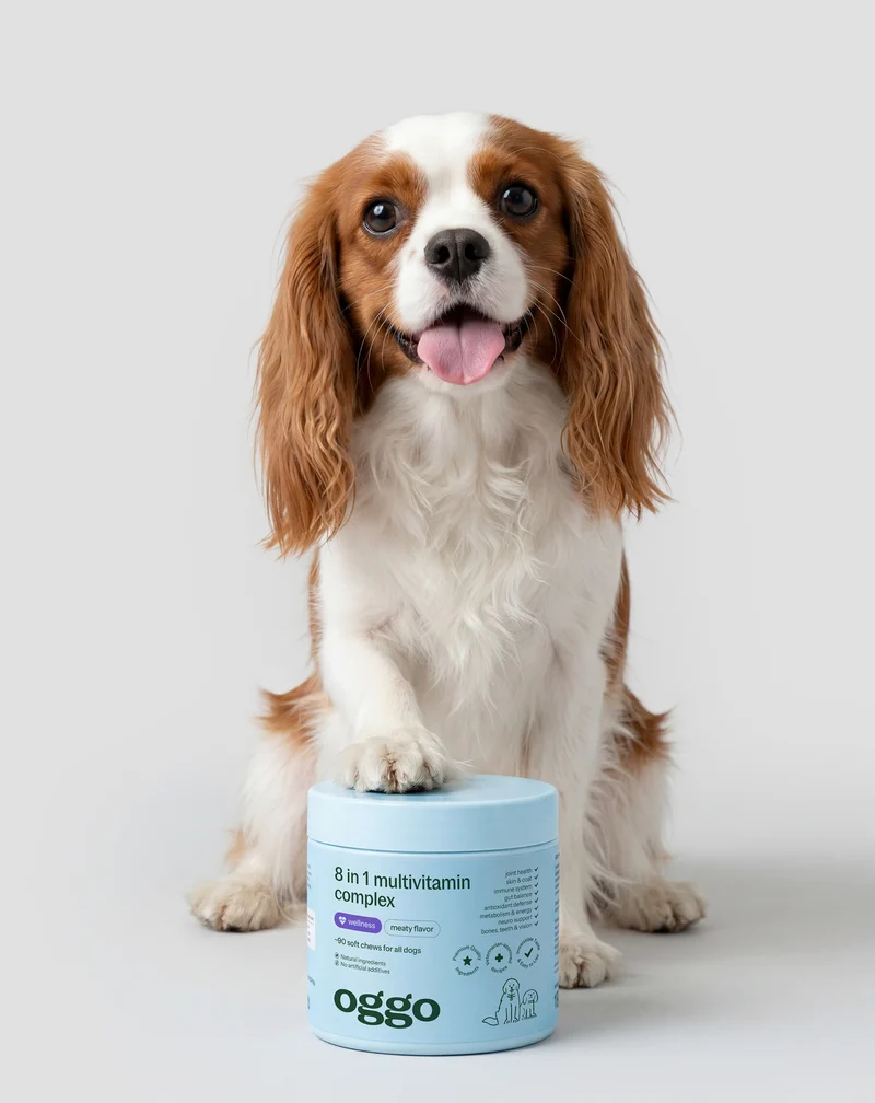 Multivitamine pour chien 8 en 1 pour l'immunité, le pelage et la vitalité Oggo 180 g