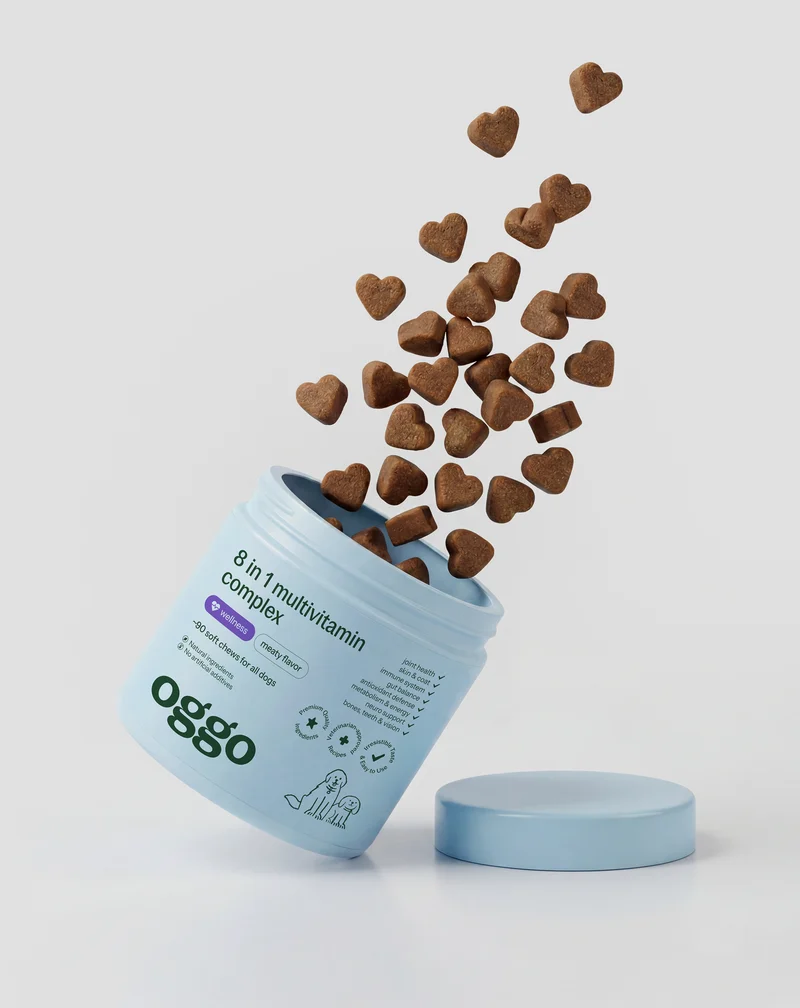 Multivitamine pour chien 8 en 1 pour l'immunité, le pelage et la vitalité Oggo 180 g