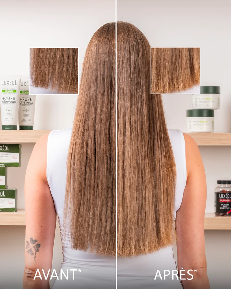 Routine Densité - In&Out