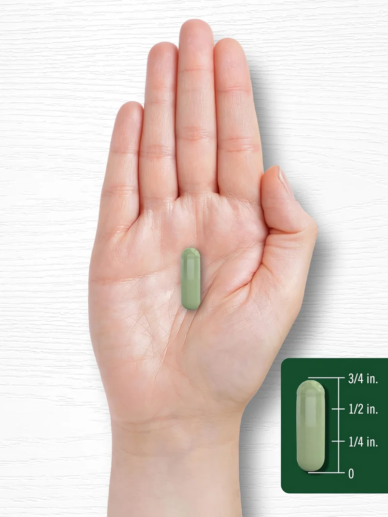 Moringa Oleifera, 6000 mg (per serving), 180 Quick Release Capsules
