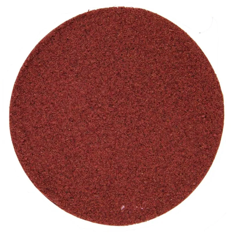 Poudre de cassis lyophilisée