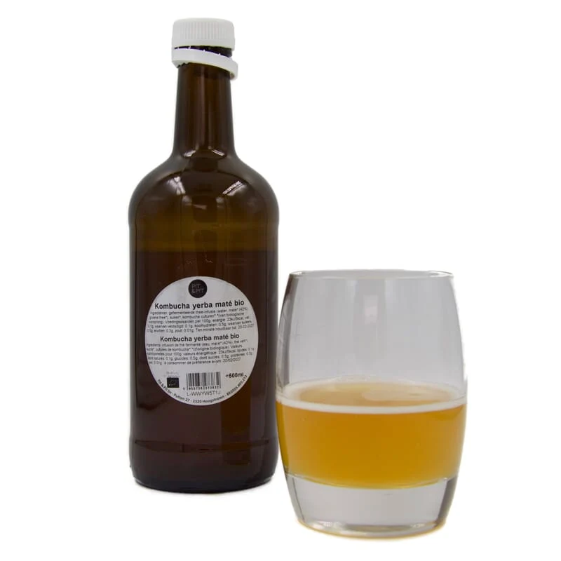 Kombucha yerba maté bio