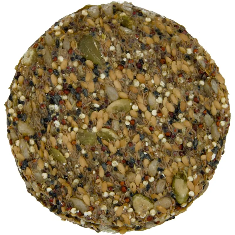 Biographie de Seed Circles
