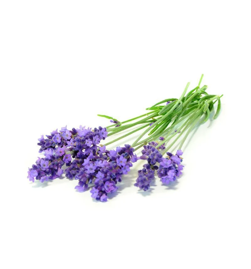 Lavendel (lavandin) Etherische olie Biologisch