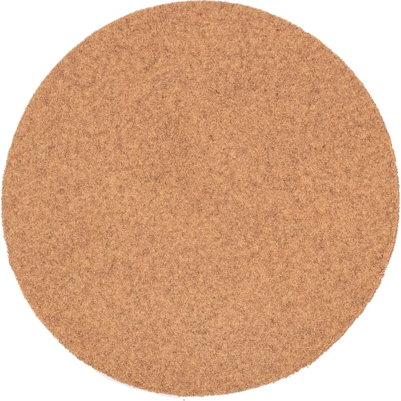 Cordyceps poudre bio