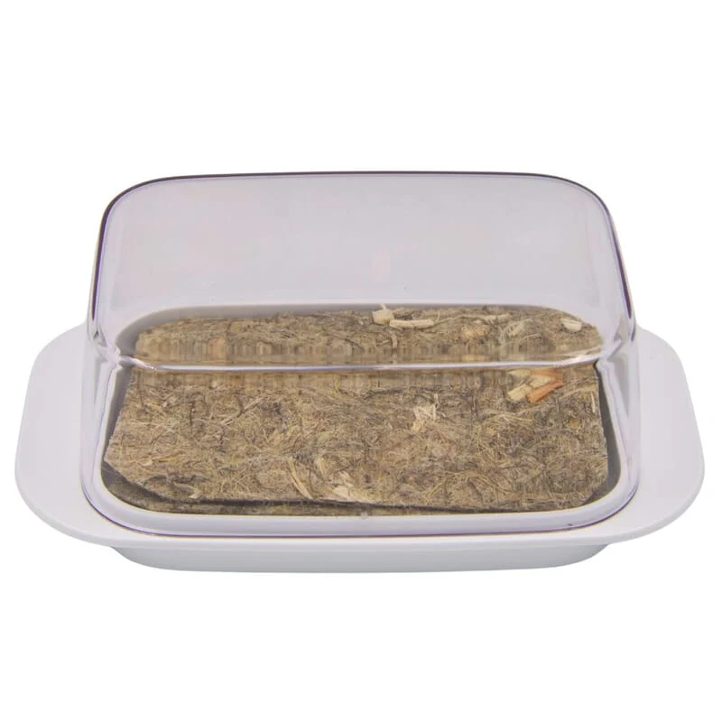 Mini-serre de germination maison