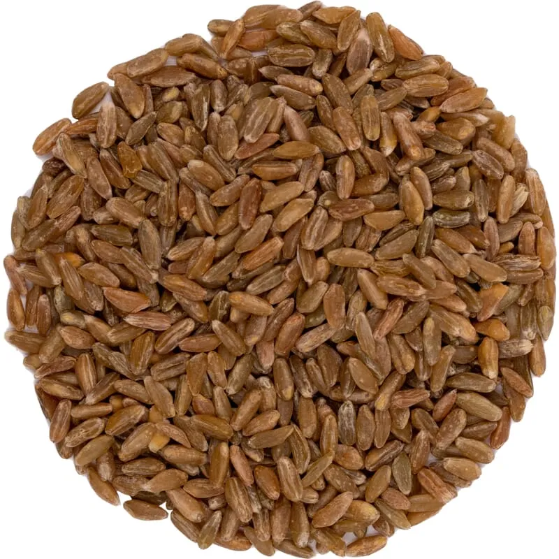Epeautre vert Bio -Freekeh