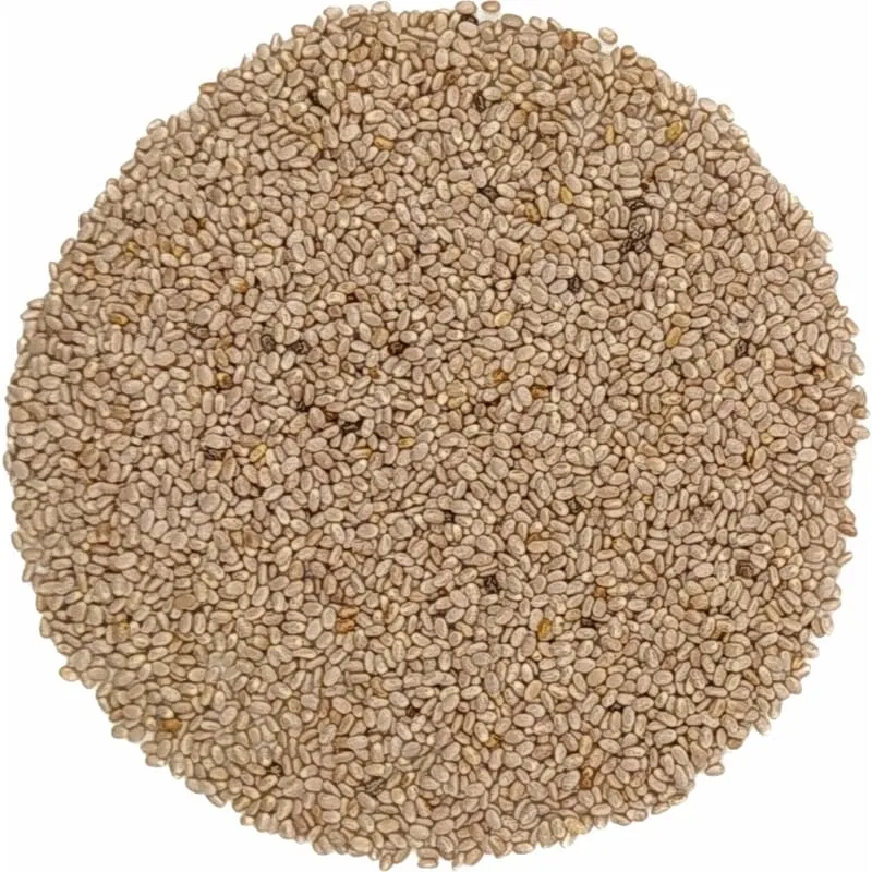 Graines de chia blanches bio