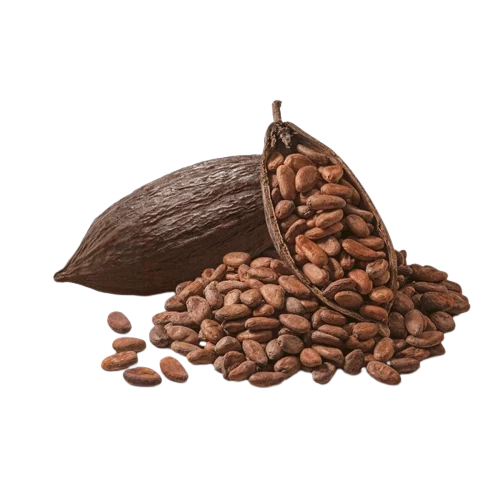 Cacao Boter (Biologisch & Koudgeperst)